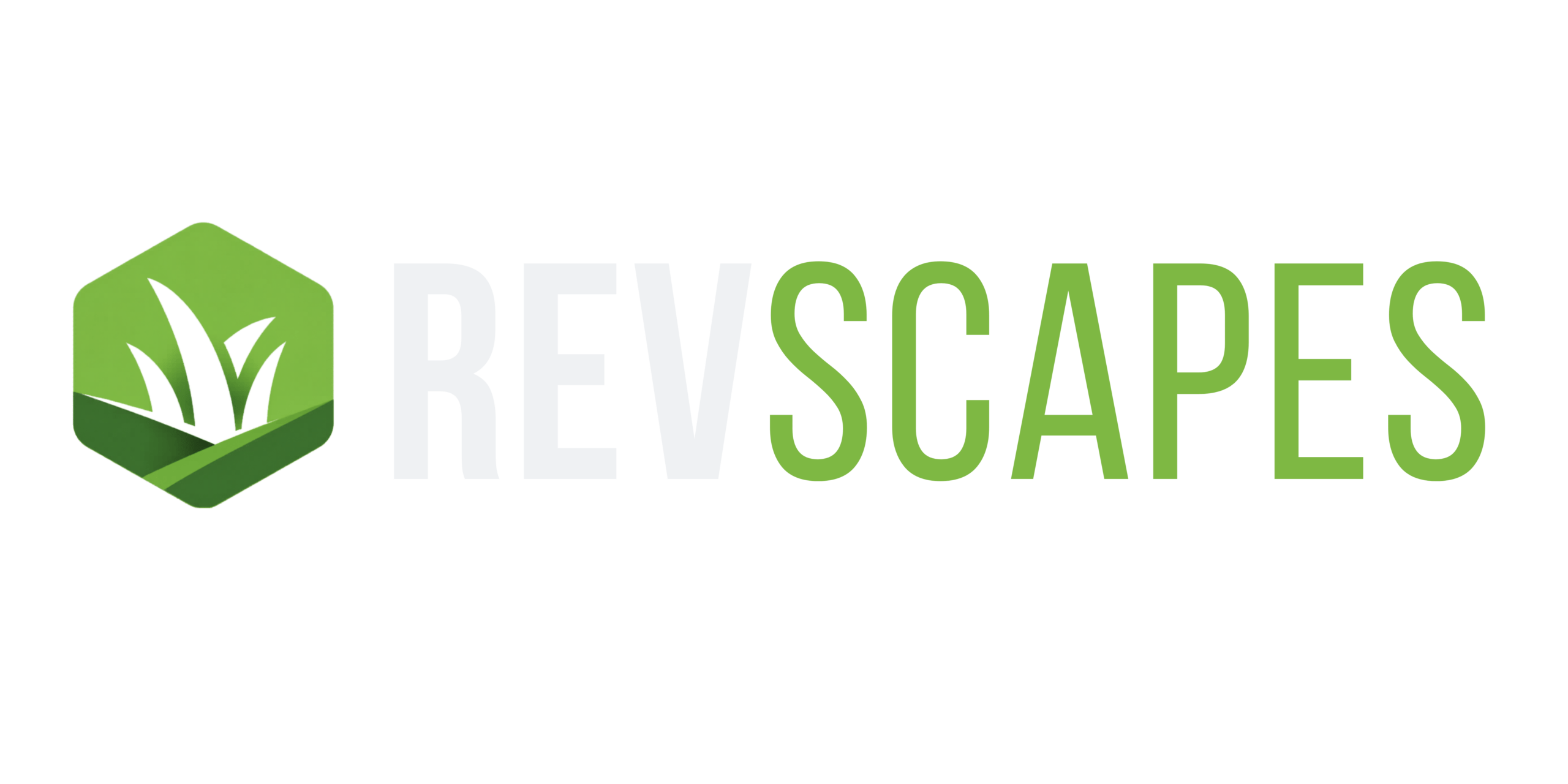RevScapes